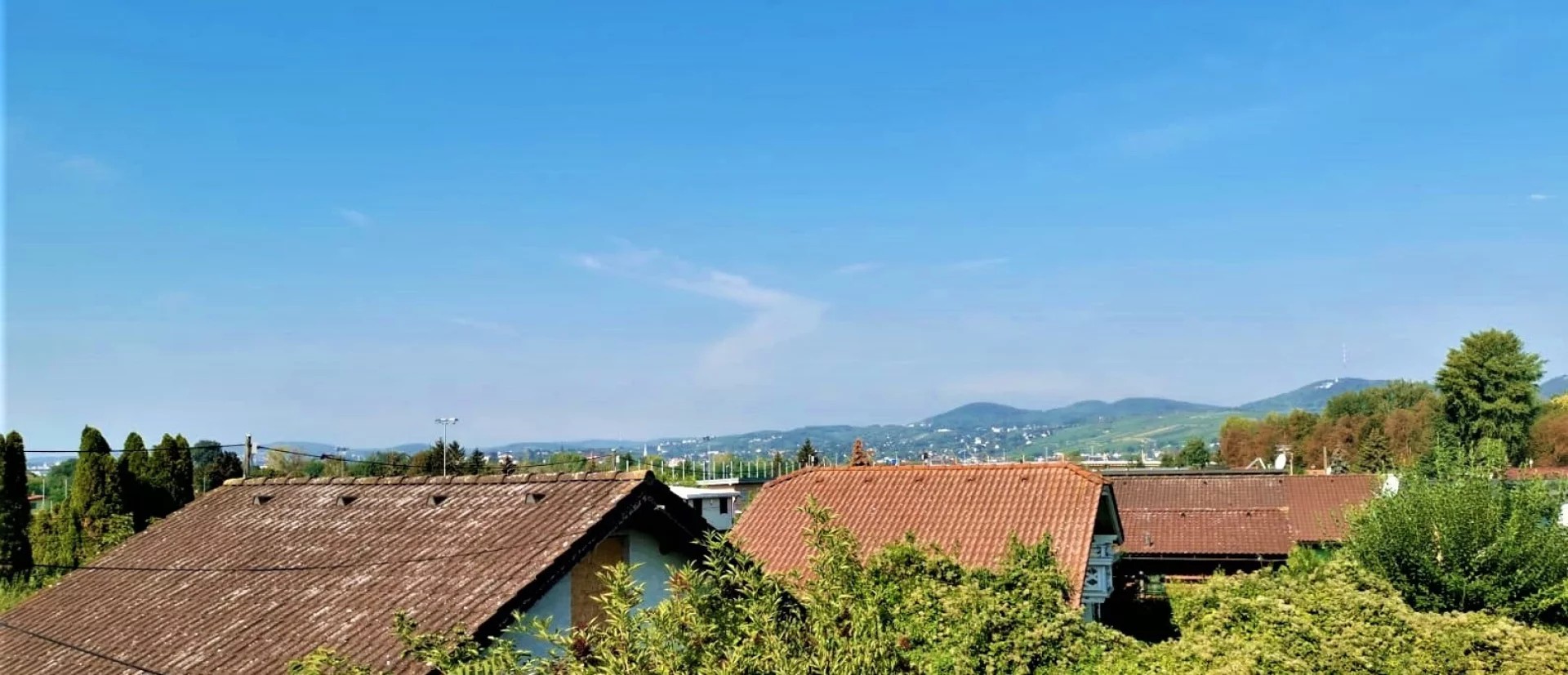 Bild 6 von 8