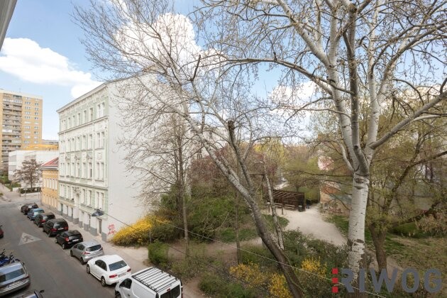 Bild 10 von 11