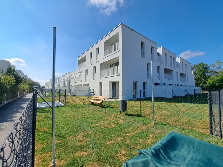 Bild 2 von 11