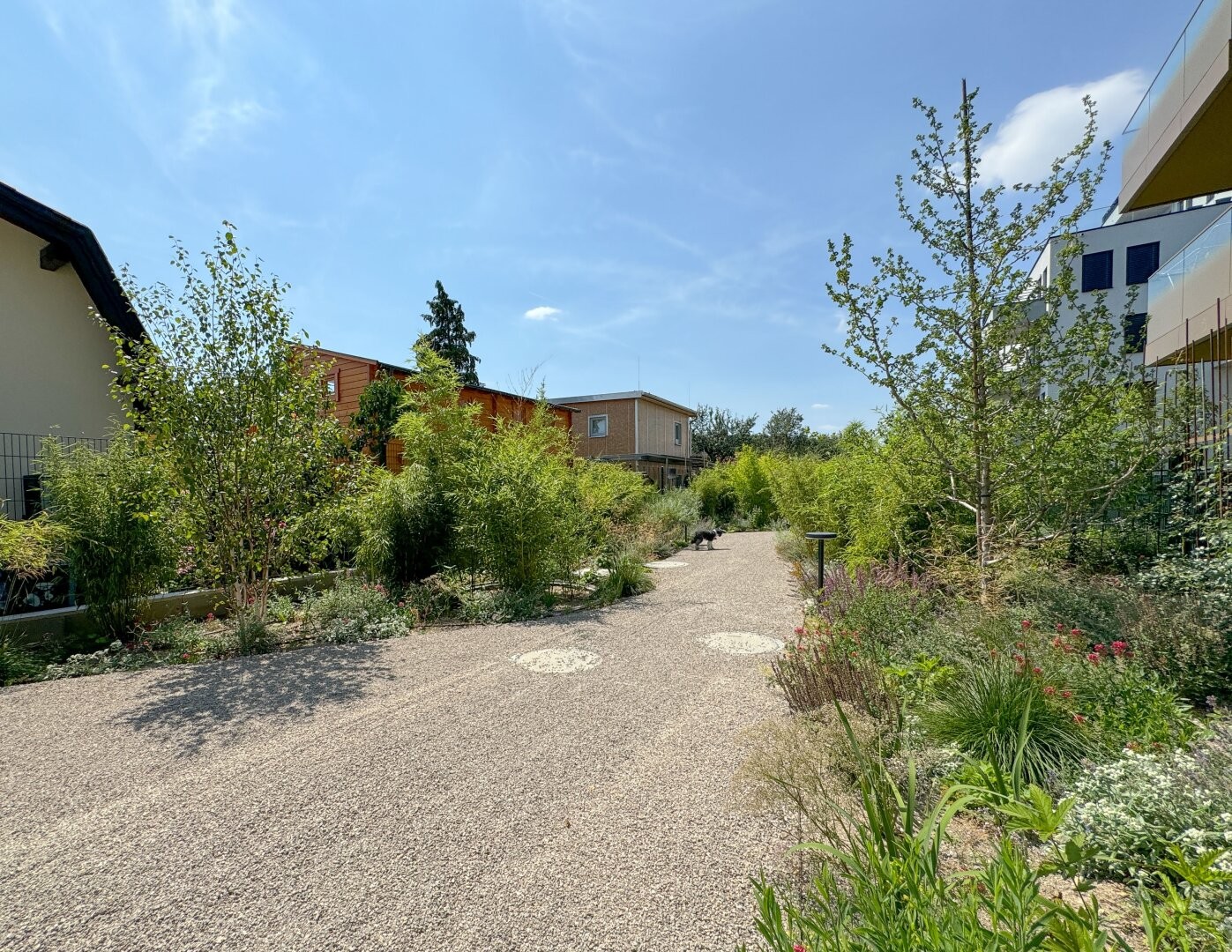 Bild 18 von 18