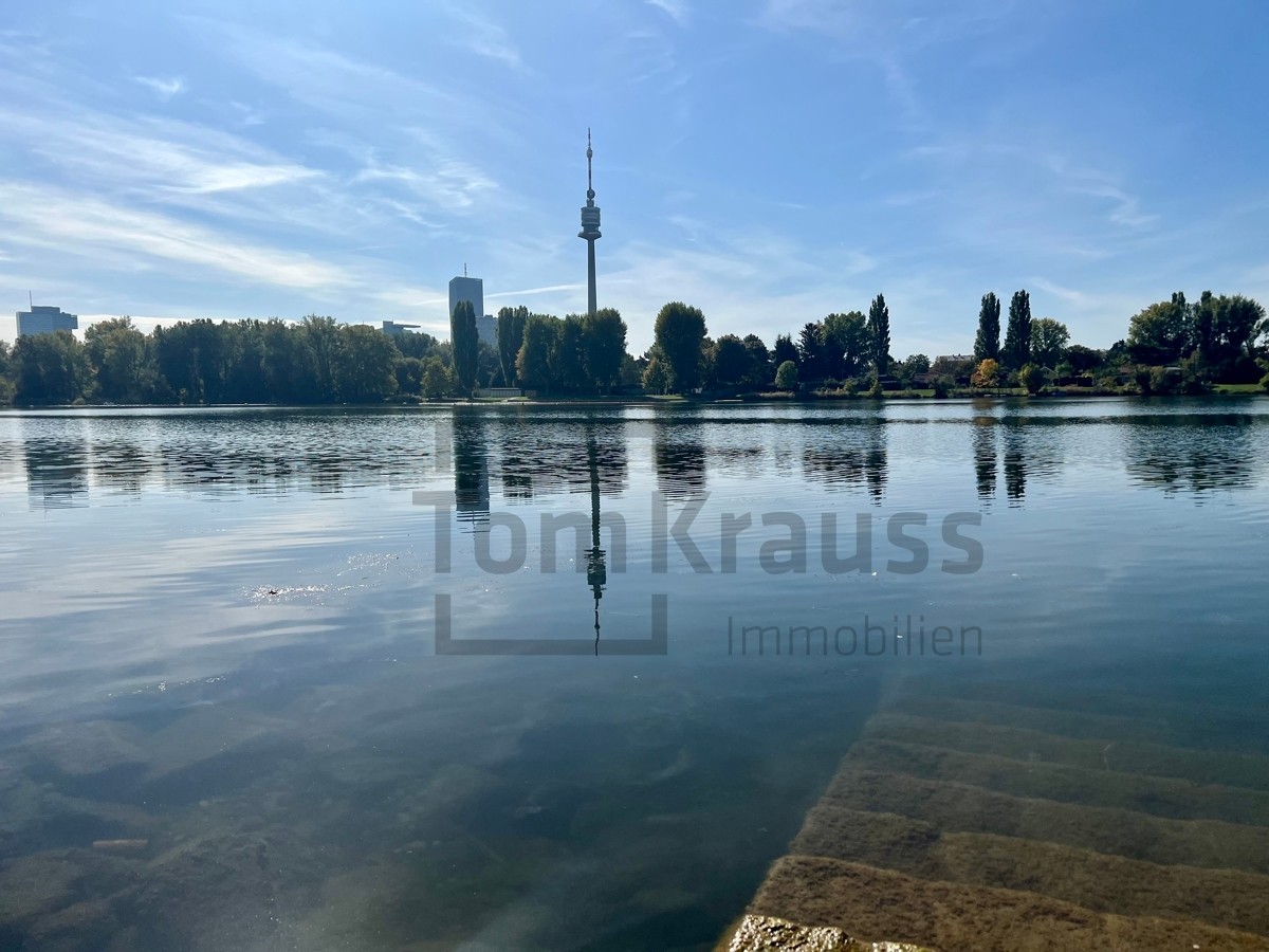 Bild 8 von 9