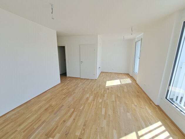 Bild 11 von 11